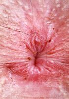 ATK Galleria: Ali Jones (Ali Jones All Nude and Spreading)