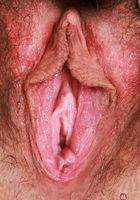 Amber Summer Exotic Hairy Pussy Spreading, Amber Summer (amb070) ATK Natural & Hairy: Amber Summer (Amber Summer Exotic Hairy Pussy Spreading)