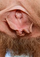 Apricot Pitts from ATK Natural & Hairy
