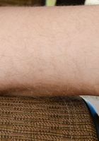 Apricot Pitts in young and hairy, Apricot Pitts (apr024) ATK Natural & Hairy: Apricot Pitts (Apricot Pitts in young and hairy)