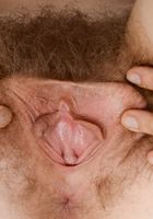 Apricot Pitts in young and hairy, Apricot Pitts (apr024) ATK Natural & Hairy: Apricot Pitts (Apricot Pitts in young and hairy)