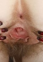 Apricot Pitts in hairy fun, Apricot Pitts (apr024) ATK Natural & Hairy: Apricot Pitts (Apricot Pitts in hairy fun)