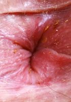 Aubry Babcock from ATK Exotics