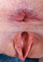 ATK Galleria: Avery Wilds (Avery Wilds can really stretch)