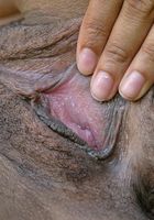 Bella in nudism, Bella (bel011) ATK Exotics: Bella (Bella in nudism)