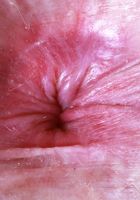 Big Eyes from ATK Petites