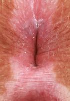 Bratty Wolfie from ATK Natural & Hairy
