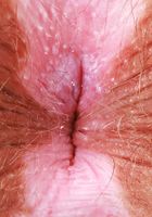 Bratty Wolfie from ATK Natural & Hairy