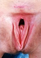 Breezy Bri Gapes Wide, Breezy Bri (bre050) ATK Galleria: Breezy Bri (Breezy Bri Gapes Wide)