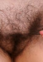 Cece's Lingerie Strip, Cece Lachey (cec015) ATK Natural & Hairy: Cece Lachey (Cece's Lingerie Strip)