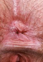 ATK Natural & Hairy: Annabelle Lee (Annabelle Lee plays with her pubes)