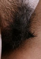 Daisy in exotic and hairy, Daisy (dai012) ATK Natural & Hairy: Daisy (Daisy in exotic and hairy)