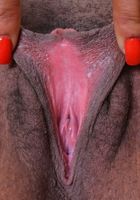 Danni Lynne from ATK Exotics