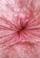 ATK Petites: Daydream Daisy (Daydream Daisy welcomes you to Hooters)