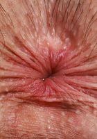 Daydream Daisy from ATK Galleria