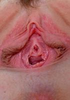 Dolly pulls her legs back and spreads her meaty pink twat, Dolly Leigh (dol011) ATK Premium: Dolly Leigh (Dolly pulls her legs back and spreads her meaty pink twat)