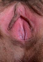 Ember Stone in young and hairy, Ember Stone (emb005) ATK Natural & Hairy: Ember Stone (Ember Stone in young and hairy)