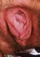 Gigi strips nude outdoors, Gigi (gig009) ATK Natural & Hairy: Gigi (Gigi strips nude outdoors)