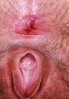 ATK Natural & Hairy: Gigi (Gigi Throwing Curves and Fur)