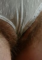 hairy set wouldn't be complete without the gorgeous Gina, Gina (gin039) ATK Archives: Gina (hairy set wouldn't be complete without the gorgeous Gina)