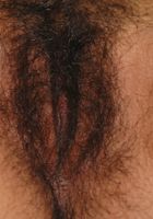 Holly in exotic and hairy, Holly (hol025) ATK Natural & Hairy: Holly (Holly in exotic and hairy)