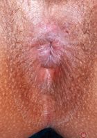 Isabella Jules from ATK Exotics