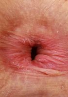 Jackie Hoff Puffy Nipples, Sweet Spreads, Jackie Hoff (jac041) ATK Petites: Jackie Hoff (Jackie Hoff Puffy Nipples, Sweet Spreads)
