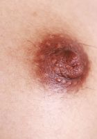 Jade Kimiko Upskirt Tease & Spreading, Jade Kimiko (jad050) ATK Exotics: Jade Kimiko (Jade Kimiko Upskirt Tease & Spreading)