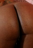 Jasmine from ATK Exotics