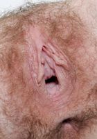 Jessi Palmer in scary hairy, Jessi Palmer (jes709) ATK Petites: Jessi Palmer (Jessi Palmer in scary hairy)