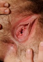 Joe in scary hairy, Joe (joe011) ATK Natural & Hairy: Joe (Joe in scary hairy)