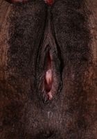 Kahlista Stonem from ATK Natural & Hairy