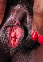 Hairy Kiana spreads her fuzzy black bush, Kiana Love (kia003) ATK Exotics: Kiana Love (Hairy Kiana spreads her fuzzy black bush)