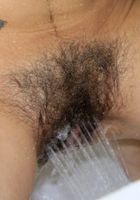 Lexie in young and hairy, Lexie (lex043) ATK Natural & Hairy: Lexie (Lexie in young and hairy)
