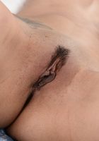 Lilly Evans in latinas, Lilly Evans (lil051) ATK Exotics: Lilly Evans (Lilly Evans in latinas)