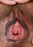 Loni Legend exposes her body, Loni Legend (lon012) ATK Exotics: Loni Legend (Loni Legend exposes her body)
