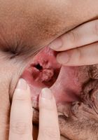 Luna Leve in latinas, Luna Leve (lun008) ATK Exotics: Luna Leve (Luna Leve in latinas)