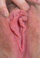 Maci gives up her pink young bush, Maci May (mac016) ATK Natural & Hairy: Maci May (Maci gives up her pink young bush)