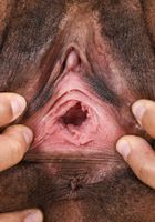 Olivia Green in exotic and hairy, Olivia Green (oli032) ATK Natural & Hairy: Olivia Green (Olivia Green in exotic and hairy)