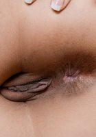 Orion Raye in latinas, Orion Raye (ori002) ATK Exotics: Orion Raye (Orion Raye in latinas)