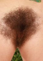 Pearl Sage Hairy Holes, Pearl Sage (pea013) ATK Natural & Hairy: Pearl Sage (Pearl Sage Hairy Holes)