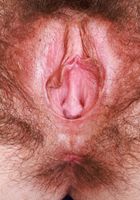 Pearl Sage from ATK Natural & Hairy