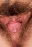 Pearl Sage in young and hairy, Pearl Sage (pea013) ATK Natural & Hairy: Pearl Sage (Pearl Sage in young and hairy)