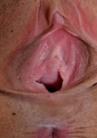 Penelope Reed in latinas, Penelope Reed (pen027) ATK Exotics: Penelope Reed (Penelope Reed in latinas)