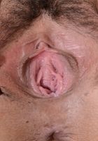 Penelope Reed in exotic and hairy, Penelope Reed (pen027) ATK Petites: Penelope Reed (Penelope Reed in exotic and hairy)