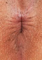 Penelope Reed Hole Spreads, Penelope Reed (pen027) ATK Petites: Penelope Reed (Penelope Reed Hole Spreads)