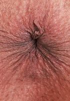 Ryder Rey Spreads Her Trimmed Pussy, Ryder Rey (ryd002) ATK Exotics: Ryder Rey (Ryder Rey Spreads Her Trimmed Pussy)