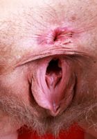 Sahara Skye from ATK Natural & Hairy