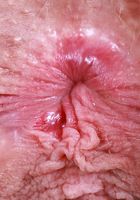 Sahara Skye from ATK Natural & Hairy