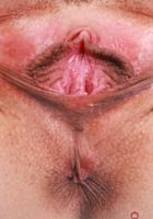 Serena Hill's panties hit the floor, Serena Hill (ser031) ATK Petites: Serena Hill (Serena Hill's panties hit the floor)